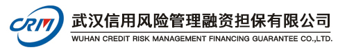 武漢信用風險管理融資擔保有限公司